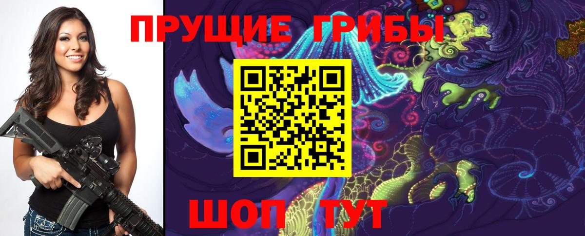 Псилоцибиновые грибы Cubensis  Псилоцибиновые грибы Psilocybine cubensis  Надым  Вход с VPN 